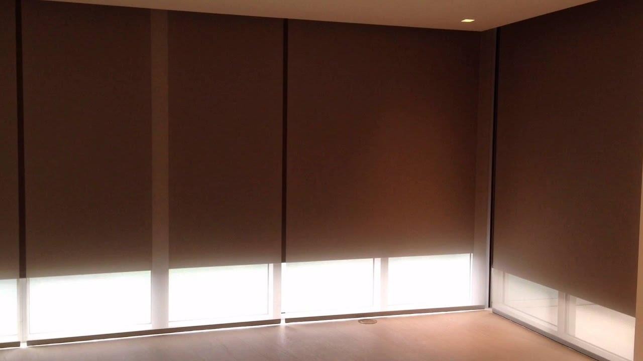 How to Choose the Right Blackout Roller Shades for Your Home